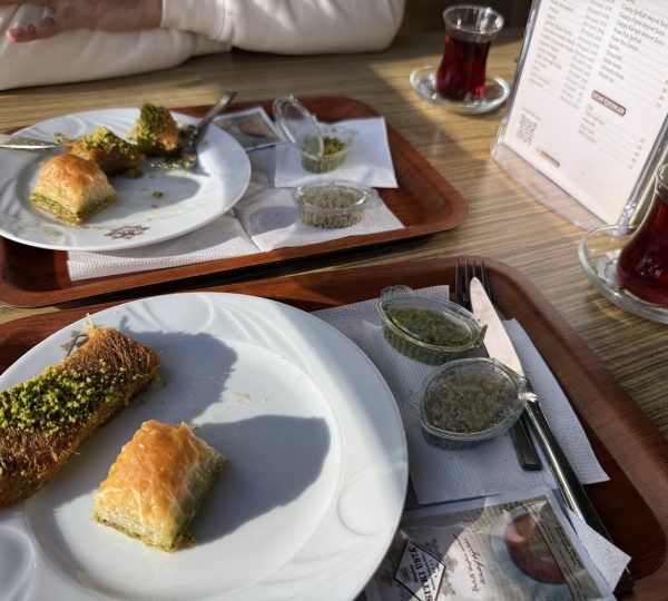 SITKI USTA DİCLEKENT VİLLALARI ŞUBE